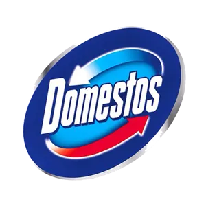 لوگوی شرکت دامستوس